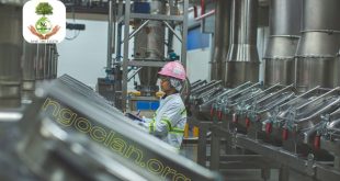 Xử lý nước thải chế biến thực phẩm