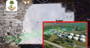 Xử lý nước thải nhiễm dầu