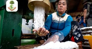 Xử lý nước thải sản xuất bún