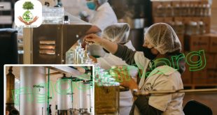 Xử lý nước thải sản xuất rượu