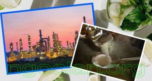 Xử lý nước thải nhà máy sản xuất bột ngọt